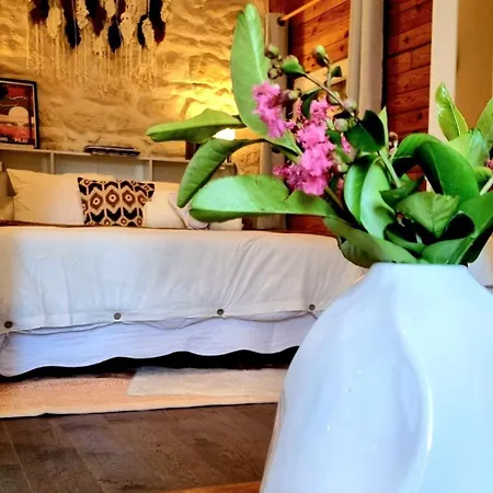 Chez Cathy Appartement